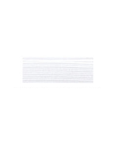 Tresse élastique plate 12mm blanc