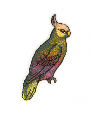 Lote de 3 parches termoadhesivos pájaro periquito 4,5 cm x 3 cm