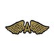 Ecusson thermocollant ailes doré et noir 2x6cm
