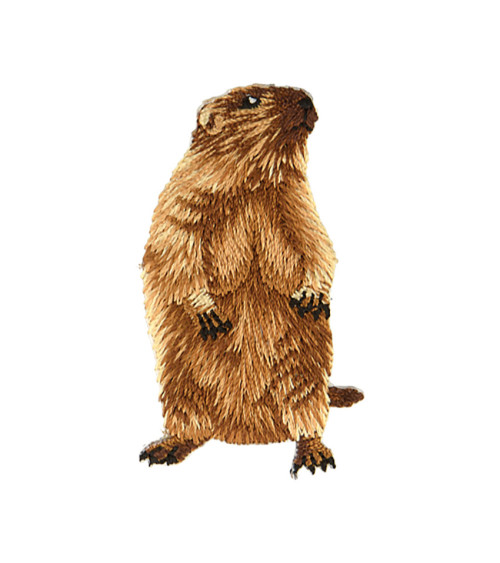 Lot de 3 écussons thermocollants tete marmotte droite 3,1cm x 5,4cm