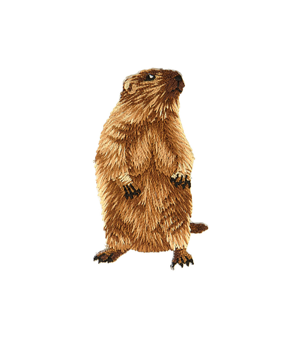 Lot de 3 écussons thermocollants tete marmotte droite 3,1cm x 5,4cm