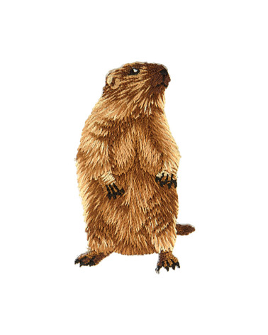 Set of 3 right marmot head iron-on patches 3.1cm x 5.4cm