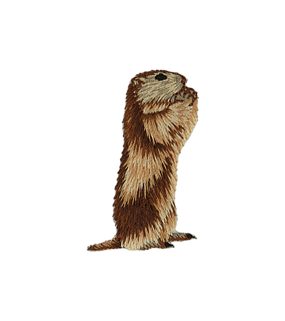 Set of 3 iron-on marmot badges, right profile, 5.5cm x 4cm