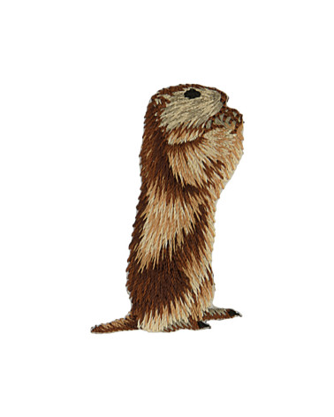 Set of 3 iron-on marmot badges, right profile, 5.5cm x 4cm