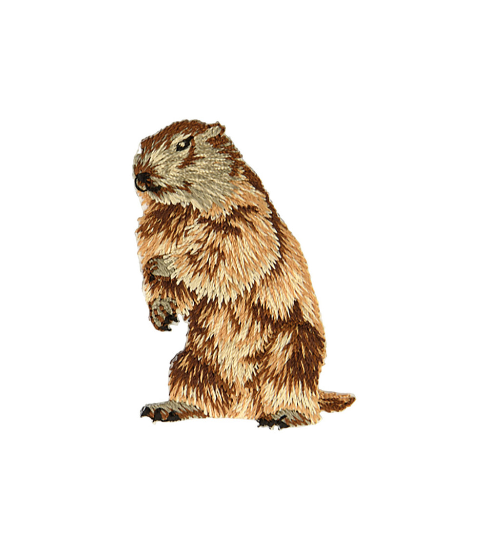 Set of 3 iron-on badges left marmot head 3.7cm x 5.2cm