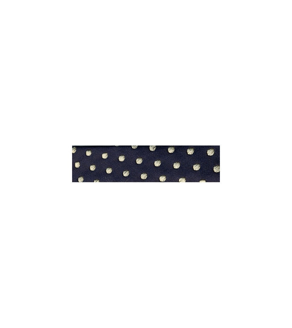 Floppy disk da 20 m piegato in sbieco blu a pois