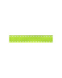Bobine 25m galon polyester Tiret vert anis 10mm