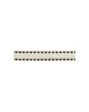 Spule 25m Galon Polyester Tiret Ecru 10mm