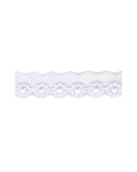 Bobine 14,5m Broderie sur tulle 20mm blanc