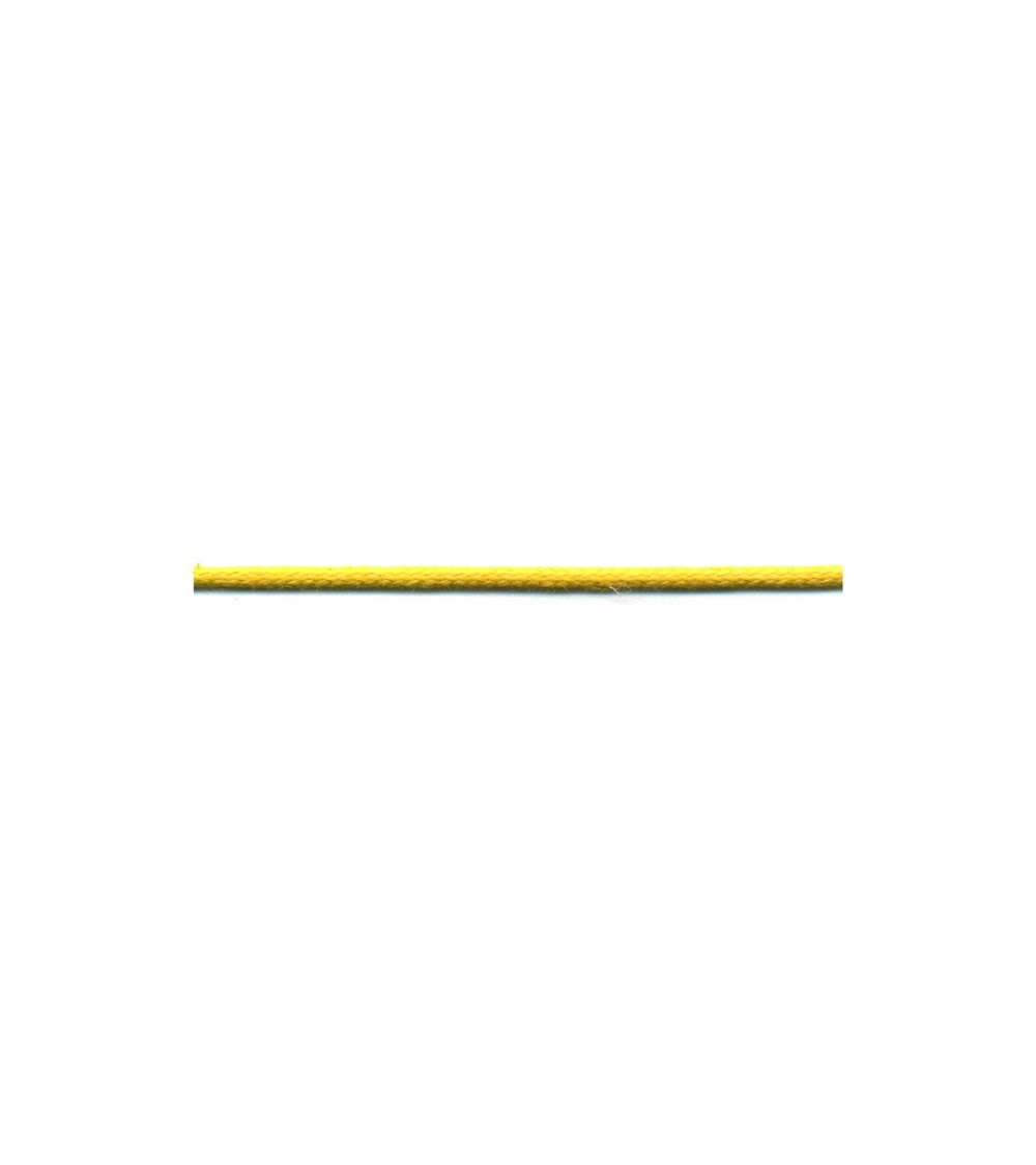 50 m Spule aus Spitze in Lederoptik, 2 mm, Gelbgold