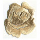 Ecusson thermocollant Rose beige
