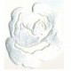 Ecusson thermocollant Rose blanc