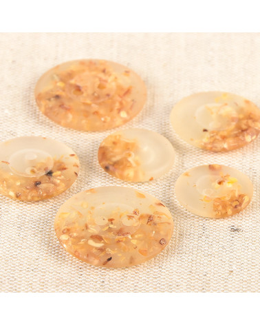 Round button 2 holes chips 23mm transparent
