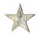 Ecusson étoile argent 2,5cm argent