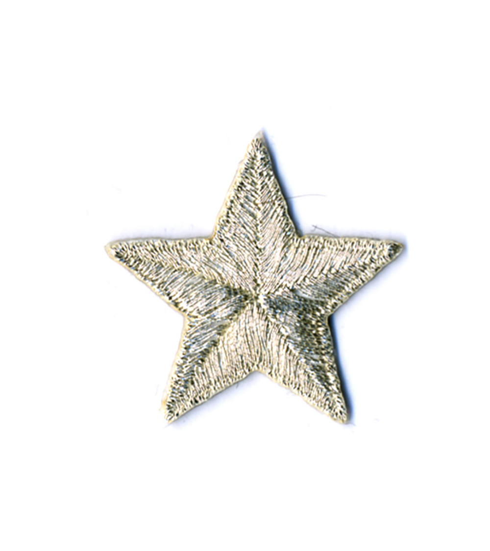 Stemma stella 2,5 cm argento