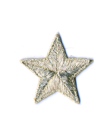 Stemma stella 2,5 cm argento