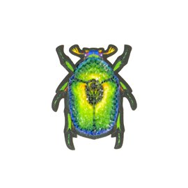 Lot de 3 écussons thermocollants insecte scarabée 5x4cm