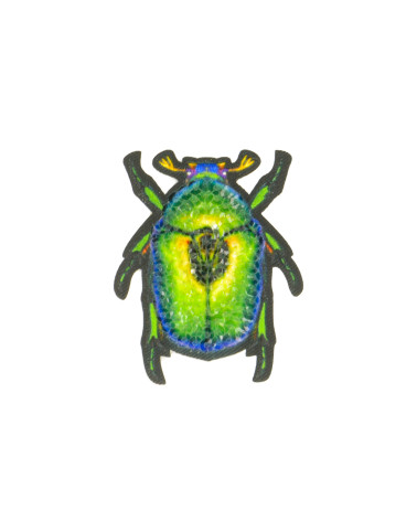 Set mit 3 Käfer-Insektenflicken zum Aufbügeln, 5 x 4 cm