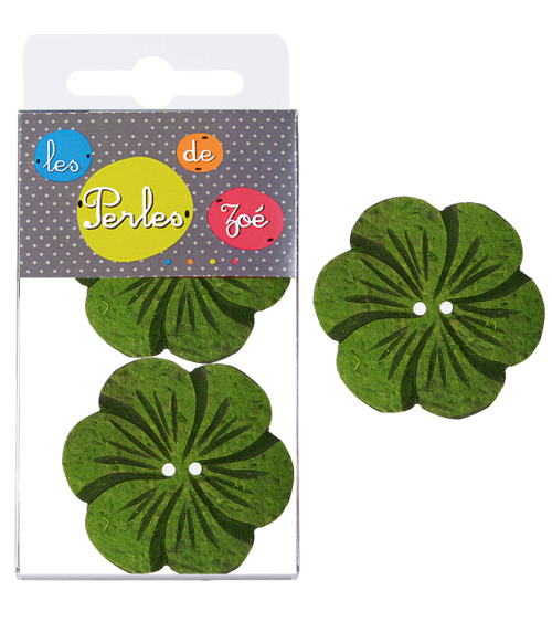 6 Boutons fleurs coco 4cm Vert