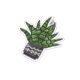 Ecusson thermocollant cactus en pot gris 4,5cm x 4cm