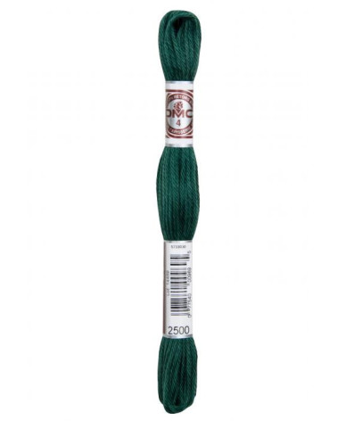 Matassa da 10 m DMC Tela per arazzo con filo ritorto opaco 100% cotone verde foresta 2500