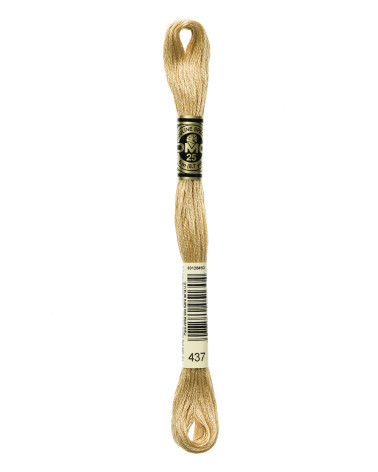 Matassa da 8 m Filo da ricamo DMC Mouliné 117 100% cotone giallo ocra chiaro 437