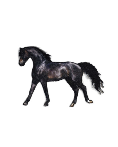 Juego de 3 insignias de caballos marrones 5,5 cm x 4 cm
