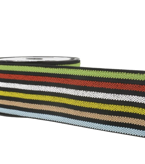 Bobine 10m Elastique ceinture stripes/rayures Multicolore