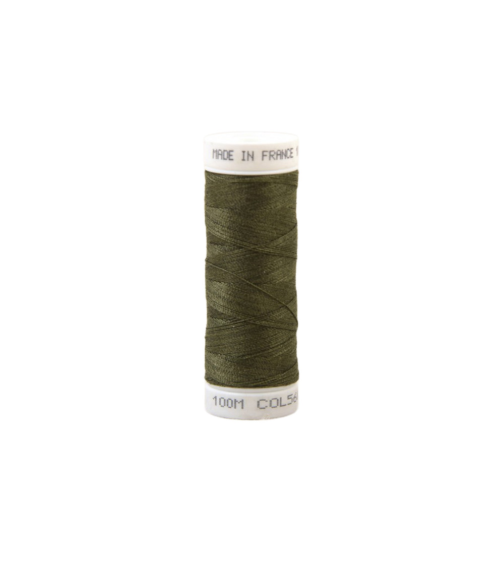 Polyester sewing thread 100m made in France - reseda green 560