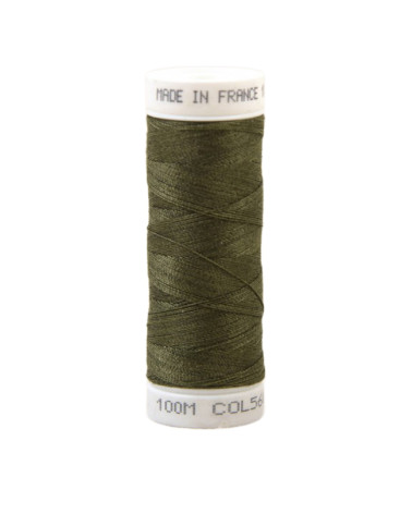 Polyester sewing thread 100m made in France - reseda green 560