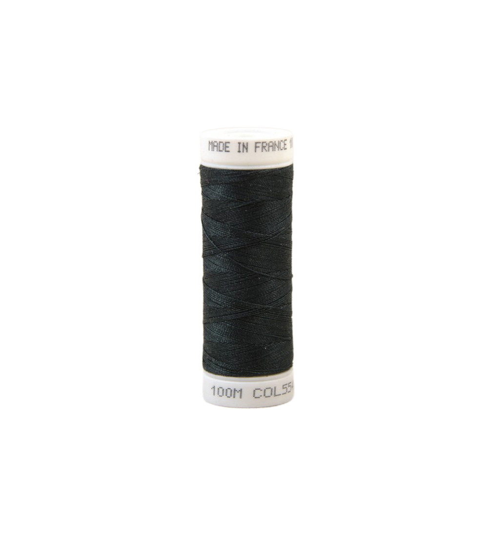 Polyester sewing thread 100m made in France - sorrel blue 554