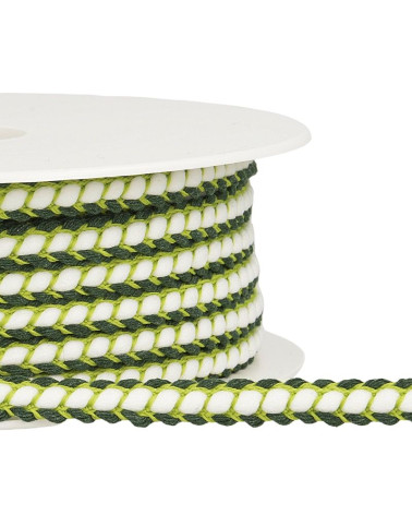 Bobine 25m Galon tresse 10 mm Vert Anis