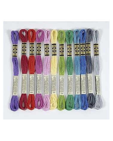 Assortimento di 24 matassine di filati DMC mouliné, gli essenziali 100% cotone, colori vitaminici