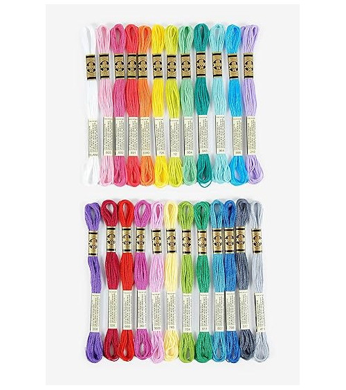 Assortiment 24 échevettes de fils mouliné DMC les indispensables 100% coton coloris vitamines