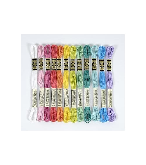 Assortimento di 24 matassine di filati DMC mouliné, gli essenziali 100% cotone, colori vitaminici