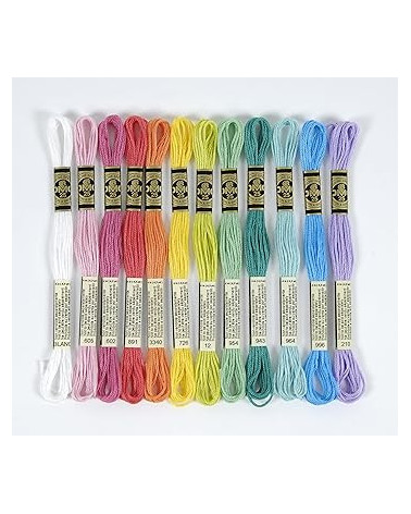 Assortimento di 24 matassine di filati DMC mouliné, gli essenziali, 100% cotone, colori vitaminici