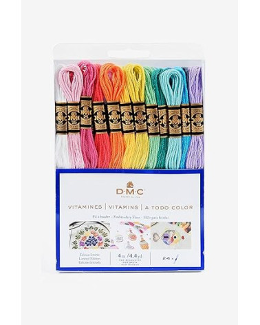 Assortimento di 24 matassine di filati DMC mouliné, gli essenziali 100% cotone, colori vitaminici