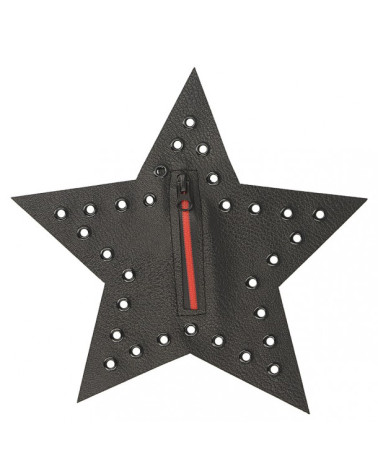 Large rock star iron-on patch