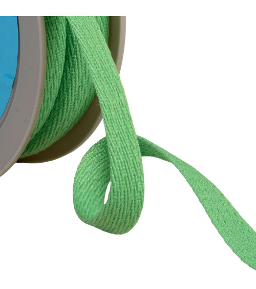 Oblique dash braid 15mm water green by the meter