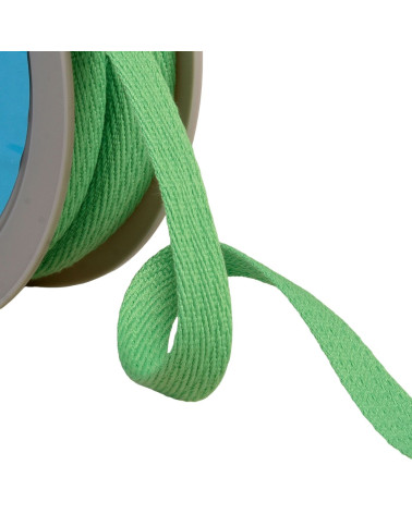 Oblique dash braid 15mm water green by the meter