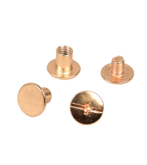 Set of 8 Chicago screws 10x6mm gold