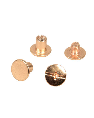 Set of 8 Chicago screws 10x6mm gold