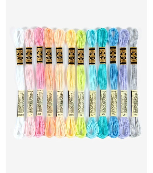 DMC-Sortiment an Mouliné Spécial 117MC-Fäden – Passionsfarbe, 100 % Baumwolle – 12 Stränge à 4 Meter