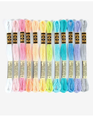 DMC-Sortiment an Mouliné Spécial 117MC-Fäden – Passionsfarbe, 100 % Baumwolle – 12 Stränge à 4 Meter
