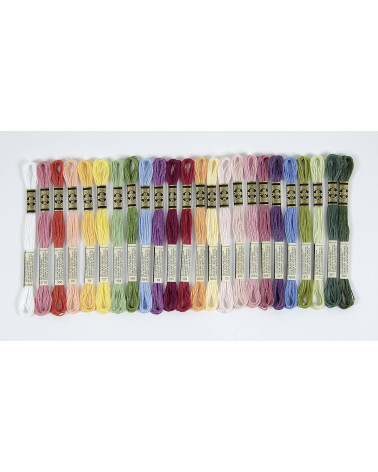 DMC – Sortiment an Mouliné-Spécial-Garnen – Blumenfarbe, 100 % Baumwolle – 24 Stränge à 4 Meter