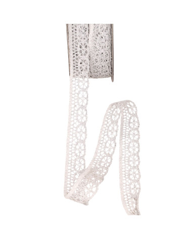 Metallic lace 23mm silver per meter