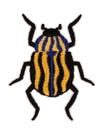 Toppa per insetti scarabeo 34 * 42 mm