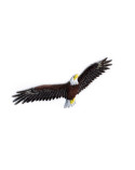 Ecusson thermocollant aigle qui vole 11x6cm