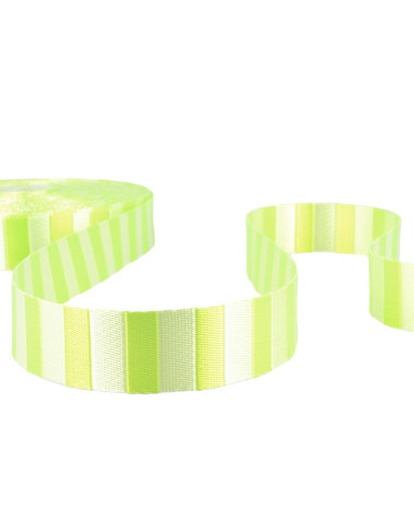 20m film Two-tone webbing Lime green 25mm