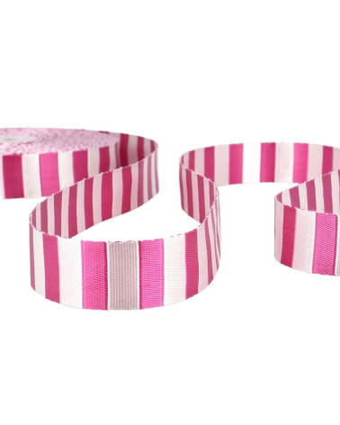 Pellicola da 20 m Fettuccia bicolore Lampone 25 mm